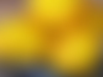 II Concurso Provincial de la Papa con Queso en La Merced