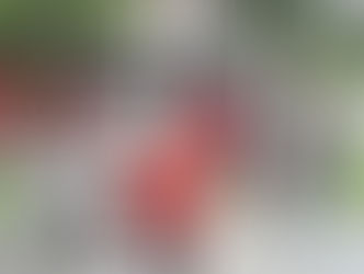 En Orán y en Capital se realizarán operativos de identificación