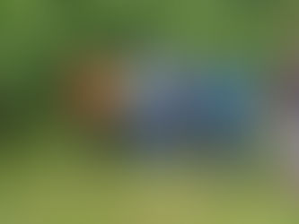 Declaró Fabiana Melisa Cari Segovia