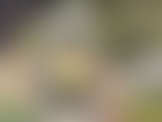 Cómo los jugadores de Pokémon GO ayudaron a crear el mapa 3D que ahora usan los robots