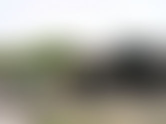 La Municipalidad efectuó un nuevo operativo de descacharrado en zona sudeste