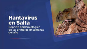 Hantavirus: Salud Pública emitió el reporte epidemiológico de las primeras 19 semanas del año