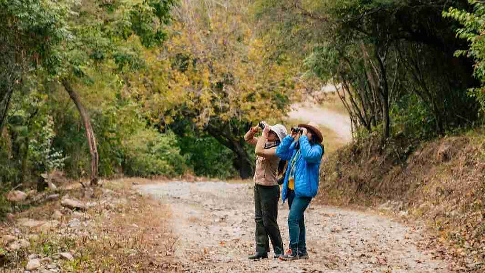 Una agenda integral de actividades invita a recorrer Salta durante el próximo fin de semana largo