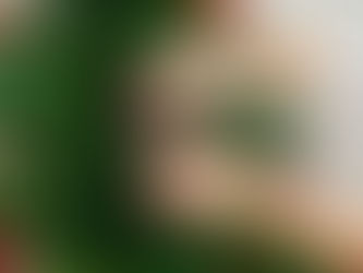 ¿Qué pasa si no armé el arbolito de Navidad este domingo 8 de diciembre?