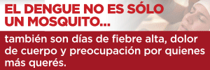 El Dengue no es sólo un mosquito - Gobierno de la Provincia de Salta