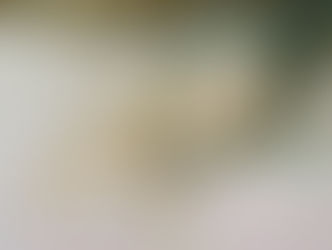 Nosotras: una mirada contemporánea sobre el cuerpo femenino