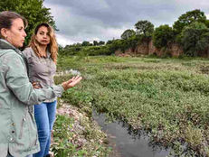 Realizaron controles en el Río Arias tras reportes de presencia de yacarés en la zona de Tres Palmeras