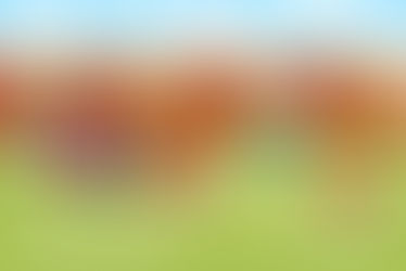 La población debe ser parte activa en la prevención del dengue