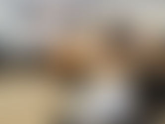 Exposición del anteproyecto de la Ley Previsional para las Fuerzas de Seguridad