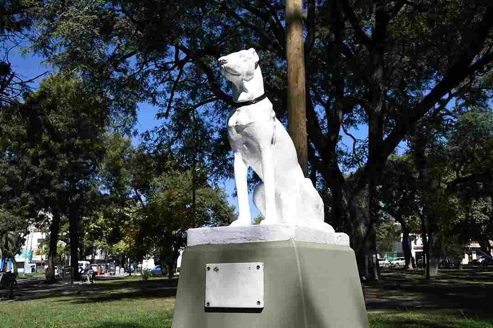 Fue restaurada la estatua del perro Raf del parque San Martín