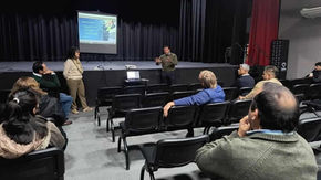 Tránsito: los fallecidos en siniestros viales disminuyeron un 48% con respecto al año pasado