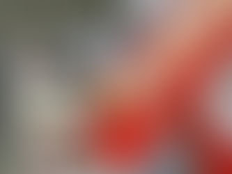 Mañana comienza la campaña Donatón