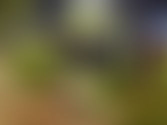 52 demorados y 2 capturados en operativos nocturnos #Capital