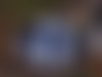 Operativos de Protección Ciudadana en distintos barrios de la Capital