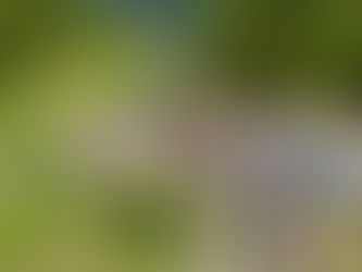 Escándalo en Chaco: acusan a la policía de Zdero de robar 9 kilos de cocaína