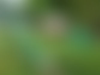 La Municipalidad promoverá el reciclaje de plásticos duros