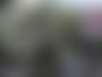 #SeguridadVial La ONU y la OMS proponen una velocidad máxima de 30 km en las calles