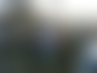 Femicidio en Rosario de la Frontera: Policía mató a su esposa también policía