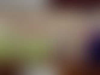 Clausuraron una fiesta clandestina en Isla de Cañas