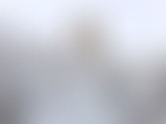 Nueva York entró en estado de alerta y se prepara para la tormenta de nieve más grande de su historia