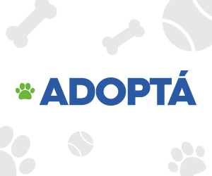 Adoptá un Amigo - Municipalidad de Salta.gif