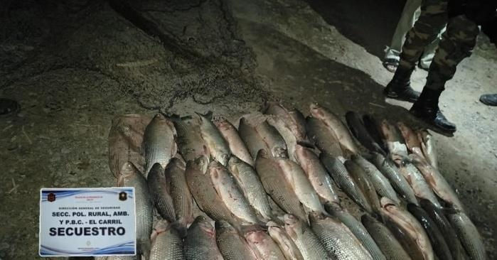 Pesca ilegal en San Agustín: secuestran 60 sábalos y redes