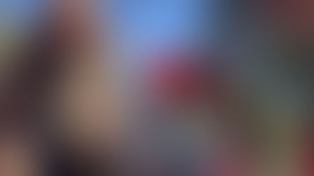 #RosarioDeLaFrontera Jóvenes obligan a un perro a tomar vino y desatan furia en las redes