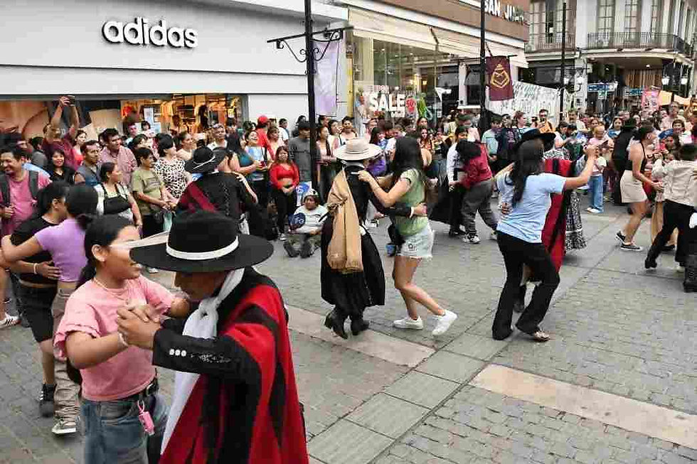 El verano se vive en La Linda: el microcentro latió al ritmo de la peña “La Güemesiana”