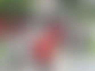 Operativos de identificación simultáneos en Capital y en Orán