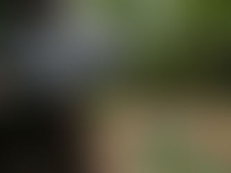 Descubren restos de 8.000 víctimas del terror nazi en Polonia