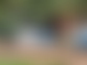 Conmoción en Entre Ríos: encontraron muerta a una adolescente con discapacidad y detuvieron a sus padres