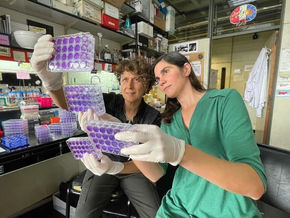 Investigación argentina descubre mecanismo de virus del dengue para desactivar respuesta inmune