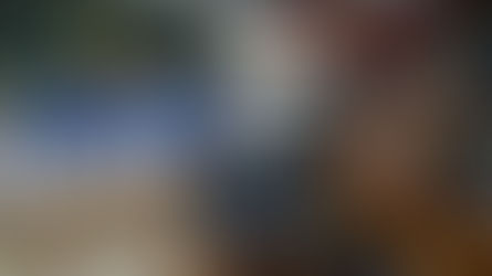 Este fin de semana Salta será sede de los Juegos Paradeportivos de Boccias