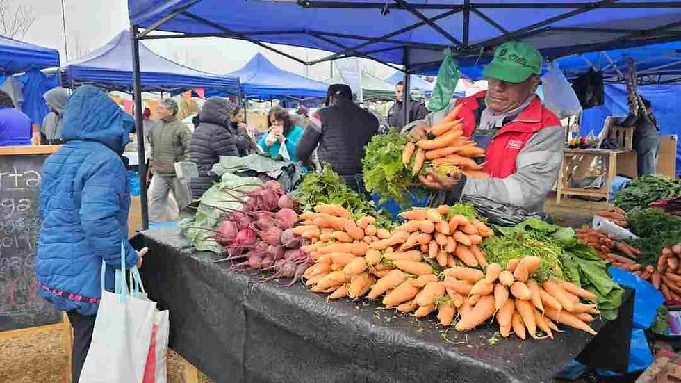 “El mercado en tu barrio» vuelve a la UNSa con ofertas de hasta un 30% de descuento