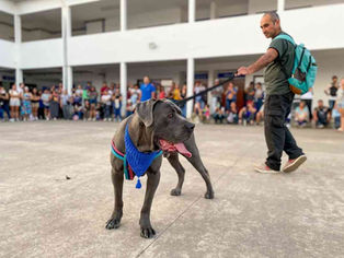 Se viene un taller práctico para prevenir ataques de perros potencialmente peligrosos