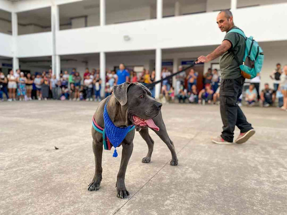 Se viene un taller práctico para prevenir ataques de perros potencialmente peligrosos