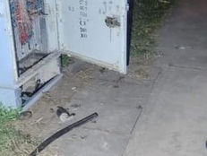 #Tartagal Robo de cables de fibra óptica: un detenido en calle Lavalle