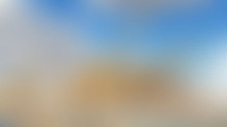 Anuncian que el titanosaurio más antiguo fue descubierto en la Patagonia