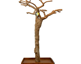 Java Wood Tree Stand | Giganterra