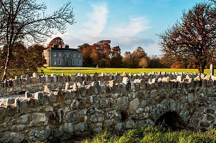 St Clerans in Autmn. A beautiful photograph by Joe Crean. The foreground is the Sarsfield Bridge.