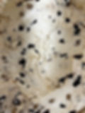Cookie Dough