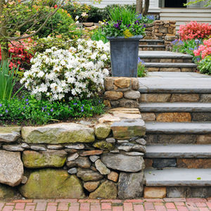 Retaining walls & Steps