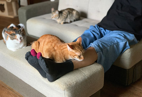 照猫屋足裏.jpg