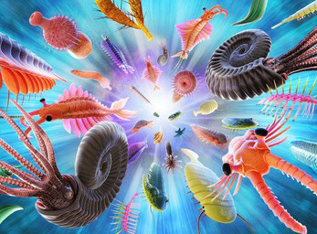 Cambrian Explosion