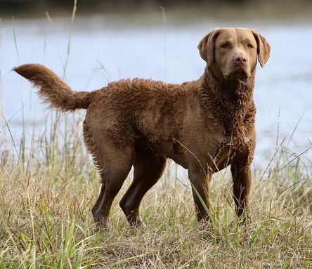 Photo credit: Gretchen Schramm