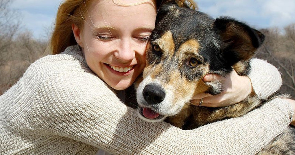 Tout ce qu'il faut savoir avant d'adopter un animal de compagnie