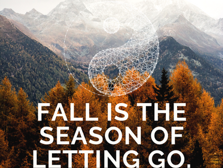 Research Update: Acupuncture and Respiratory Issues