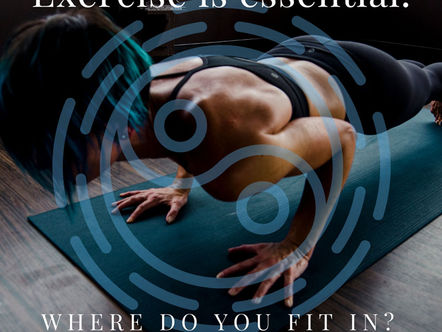 Where do you fit in?