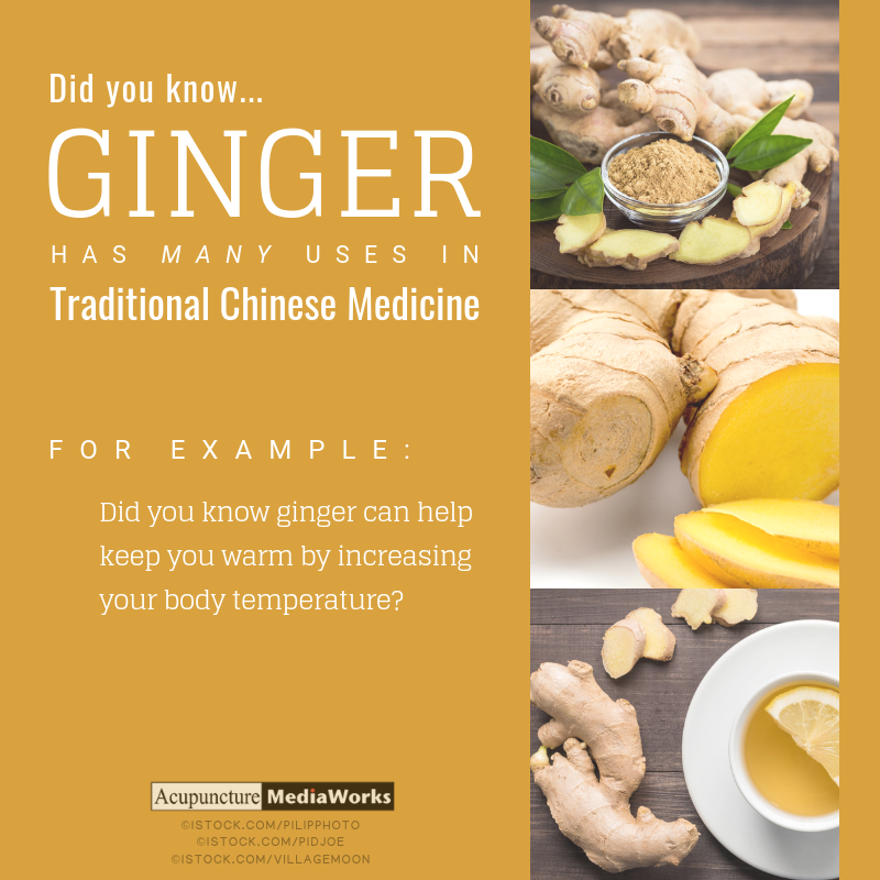 Ginger & Traditional Chinese Medicine