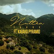 Capture d'écran 2025-04-20 160433.png